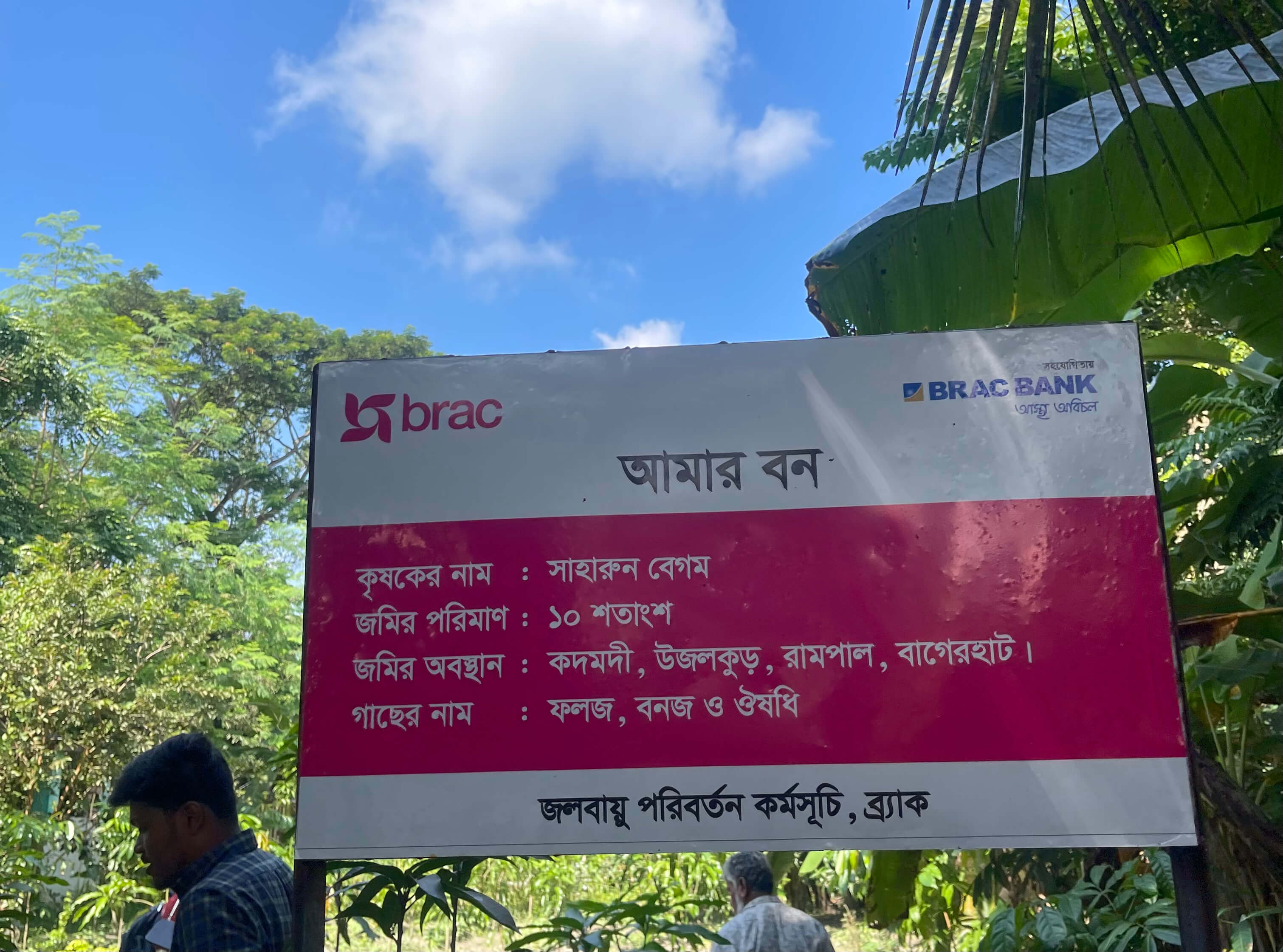 Pink Tanks and Green Futures: Balance Between Institutional and Public Participation in BRAC’s Climate Change Program