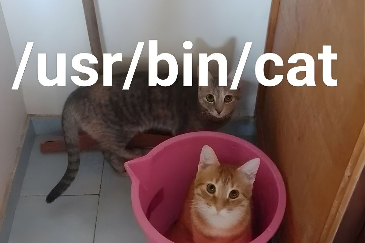 Why Traditional Unix Permissions Fall Short — and How ACLs Fix Them